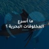 ما أسرع المخلوقات البحرية ؟